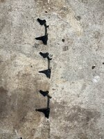IMG_8726.jpeg