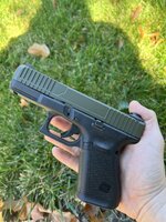 IMG_7526.jpeg