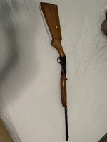 IMG_5997.jpeg