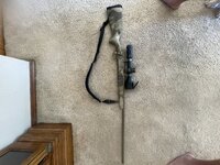 IMG_1313.jpeg