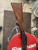 IMG_3169.jpeg