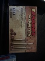 IMG_9378.jpeg