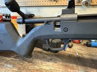 IMG_1555.jpeg