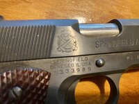 IMG_3337.jpeg