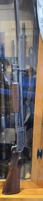 IMG_9979.jpeg