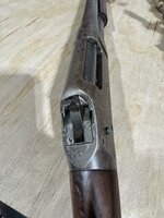 IMG_9981.jpeg