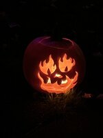 IMG_3997.jpeg