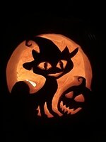 IMG_0042.jpeg