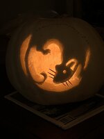IMG_1788.jpeg