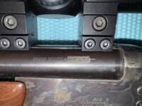 IMG_6834.jpeg