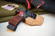 sigsauerp226withinsideholster001.jpg