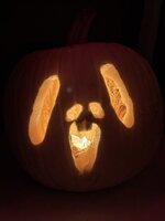 IMG_4405.jpeg