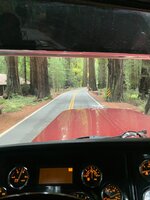 IMG_7205.jpeg