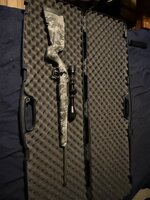 IMG_0168.jpeg