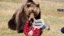 9mm Bear.jpg