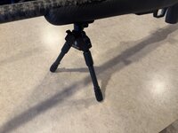IMG_6731.jpeg