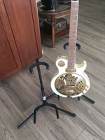 IMG_0383.jpeg