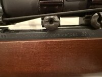 IMG_5552.jpeg