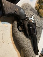 vaquero ii.JPG