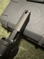 IMG_2329.jpeg