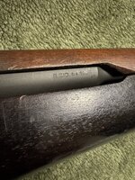 IMG_2339.jpeg