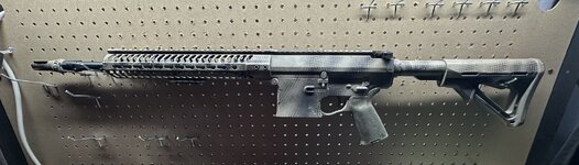 IMG_2111.jpeg