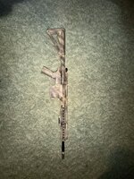 IMG_2106.jpeg