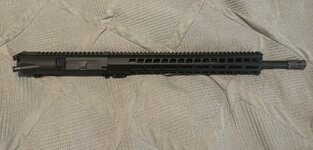 IMG_3398.jpeg