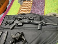IMG_7172.jpeg