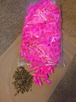 IMG_2367[1].JPG