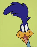 Roadrunner03.jpg