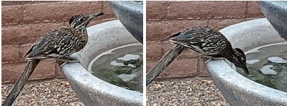1762997447415.png
