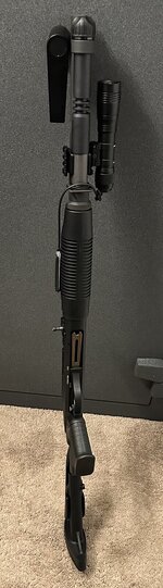 IMG_6907.jpeg