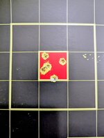 BC-204 100 yd group.jpg