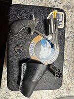 IMG_8253.jpeg