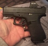IMG_2876.jpeg