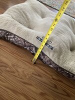 IMG_5389.jpeg