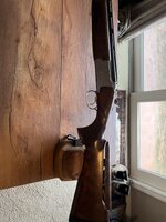 IMG_9692.jpeg