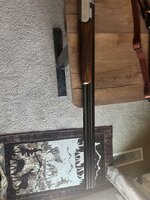 IMG_9335.jpeg