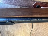 IMG_9345.jpeg