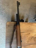 IMG_9344.jpeg