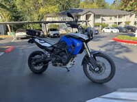 IMG_8248.jpeg