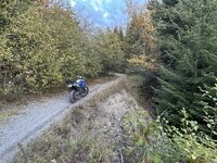 IMG_8532.jpeg