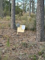 IMG_7559.jpeg