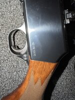 IMG_0025.jpeg