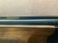 IMG_3980.jpeg