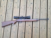 Ruger01.jpg
