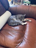 IMG_9704.jpeg