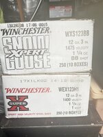 IMG_3065.jpeg