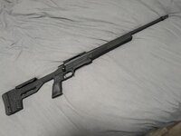 IMG_2667.jpeg
